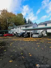 An exterior view of the building highlights the well-maintained grounds, mature trees, and convenient covered parking. This welcoming setting adds to the quiet, residential feel of the Auburn Place community.