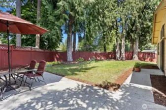 Backyard Patio