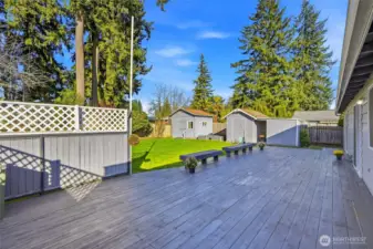 Large back patio