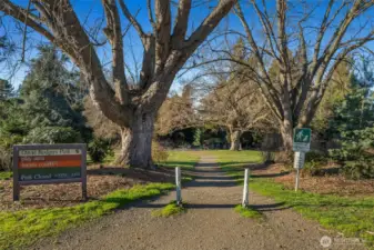 David Rodgers Park is just a half block down the hill.