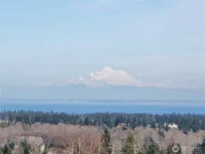 Mount Baker View