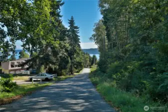 Leaf Lane