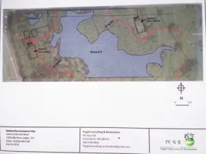 Preliminary Wetland Schematic, not completed with Island County Planning Department.