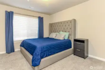 Downstairs bedroom