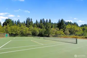 New pickleball courts!