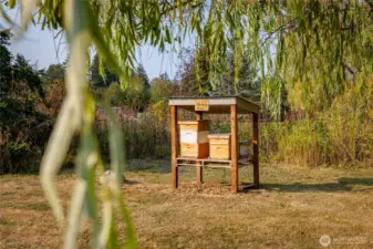 Bee keeping station is not currently in use, but is ready for your expertise!