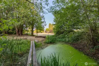Lovely pond towards the back of the property will be full again once the winter rains start.