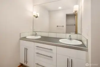 Lower Level Full Bathroom w Double Vanity