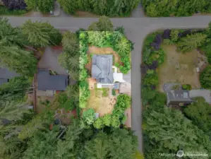The approximate lot from above.  Fort is in the lower right patch of trees.