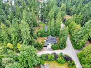 Privacy on this large .448 acre lot