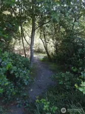 River Access
