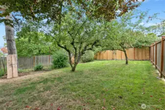 Spacious separate fully fenced backyard