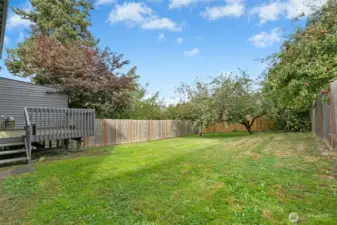 Spacious separate fully fenced backyard