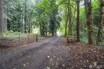 Paved, gated, private entrance to home.