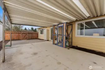 Covered Back Patio