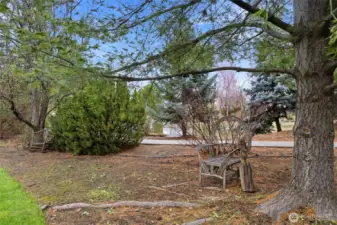 Serenity in the Back Yard