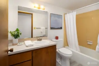 Lower level full Bathroom rounds out a perfect area for guests.