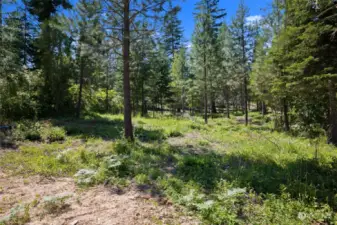 Private wooded site w/great natural light and western exposure.