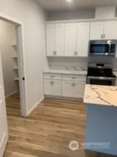 Kitchen Walk in Pantry