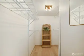 Primary br walk in closet, there is also a second closet.