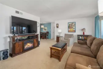 Light and bright living room