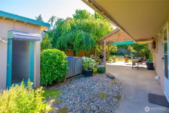 Covered back patio and walkway