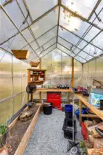 Greenhouse in the Backyard