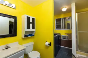 Downstairs 3/4 Bathroom with Laundry