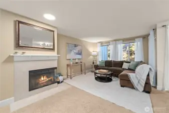 Wood burning fireplace