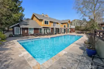 The best pool in North Seattle!