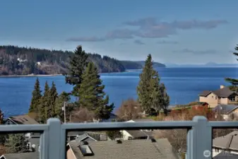 The Orcas and Gray Whales both visit this Harbor.