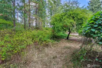 Side yard