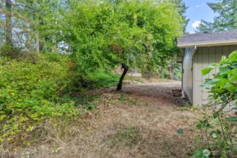 Side yard