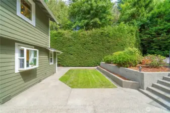 Lower lawn area