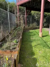 Raised beds in the back fenced yard.