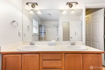 Primary Bathroom #2