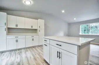 Island and abundance of cabinets for storage