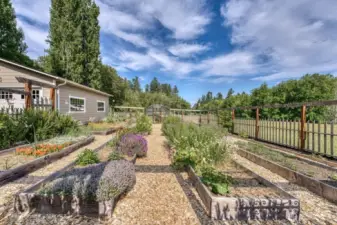 The garden with green house on the end.