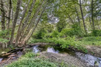 A nice view of beaver creek, it is a very tranquil place to relax.