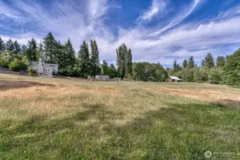 Looking north from the creek area.