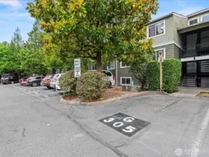 Close designated parking spot & available guest parking