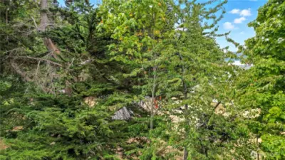 View from the street