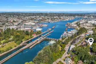 You're just steps away from parks, trails, the ship canal and outdoor summer fun!