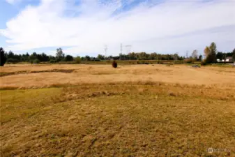 Looking at 2nd potential homesite