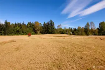 Looking north at potential building site