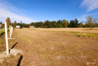 South end of fence line