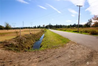 View from driveway looking toward Kelly Rd.