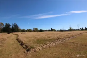 View from northwest corner of property