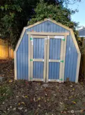 Shed de la shed.