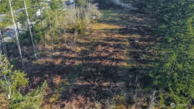 Cleared and ready